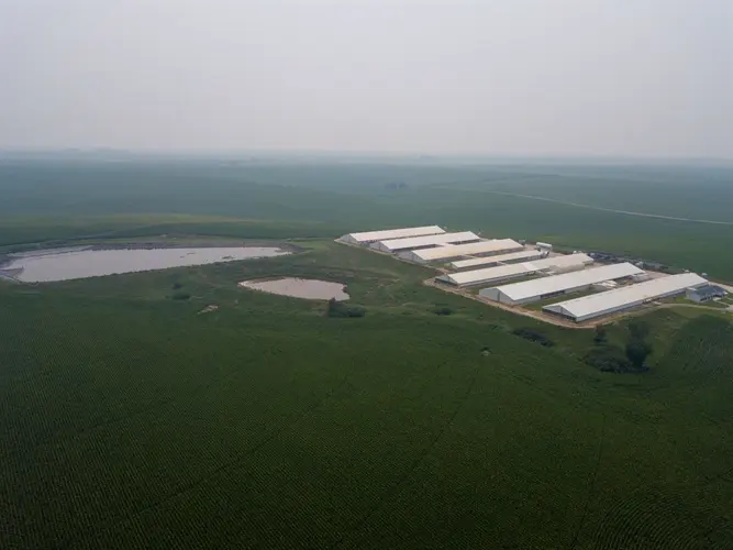 Nebraska Gov. Jim Pillen’s office, livestock groups crafted bill easing ag permitting process, emails show