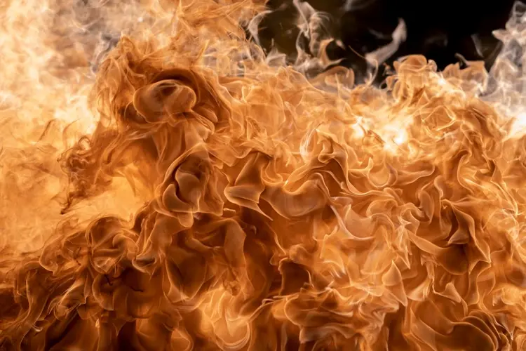 Pet perishes, home severely damaged by New Year's Day fire