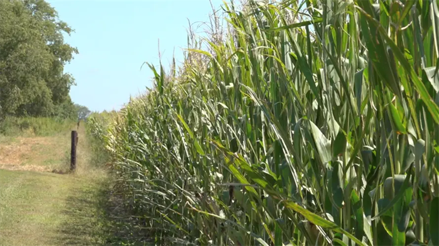 Farmers share ideas to maximizes profits at annual conference