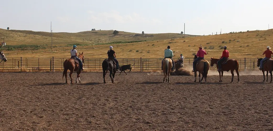Chadron State cowboy wins steer wrestling again