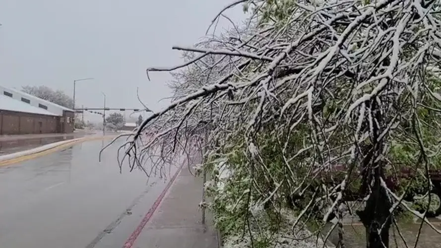 Panhandle experiencing winter weather in May