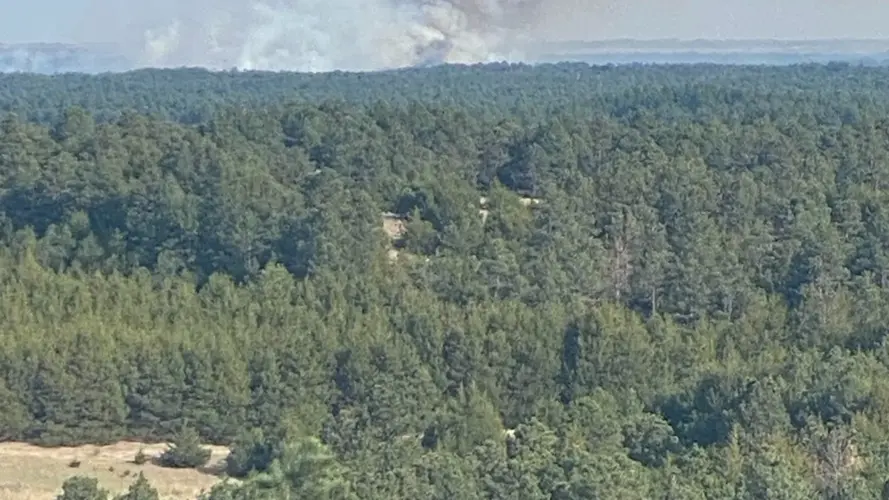 Wildfire burning at Nebraska National Forest near Halsey