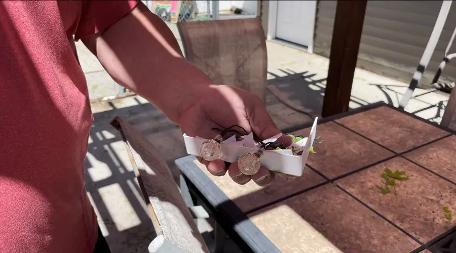 Sidney residents begin clean-up after severe storms drop large hail Tuesday