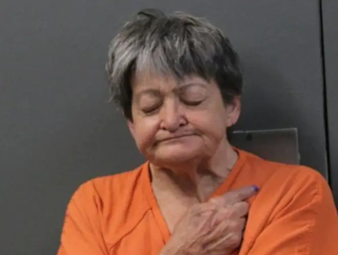 Stolen surveillance camera and puppies lead to an arrest