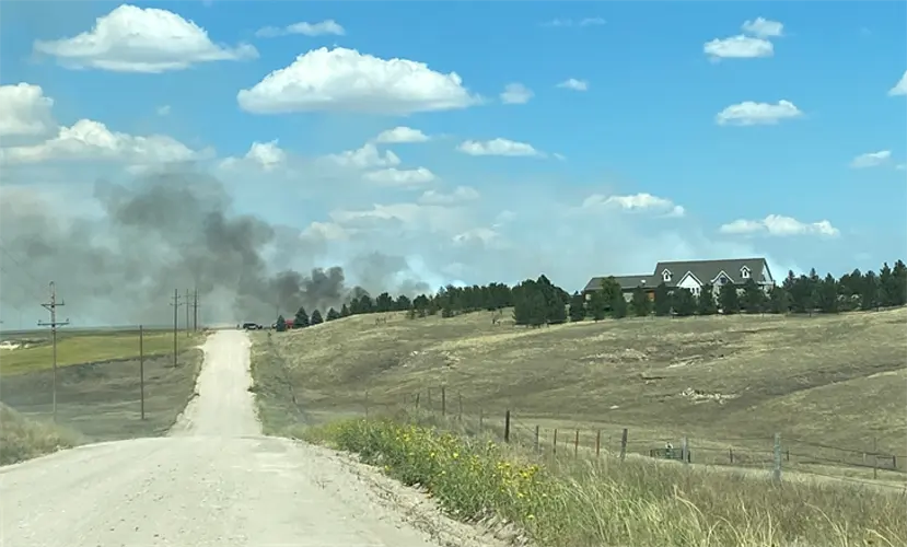 Panhandle tree fire threatens structure