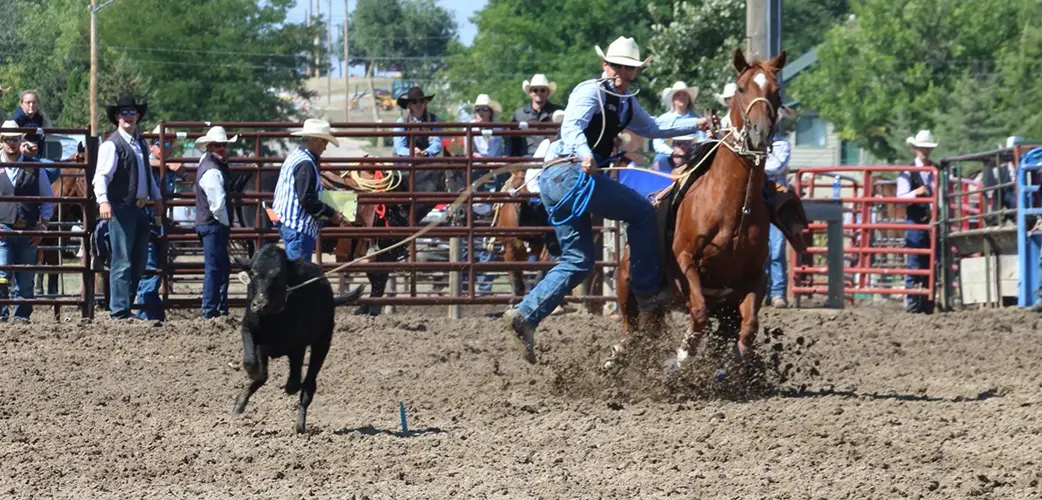 Newcomer wins tie down roping at Chadron State rodeo