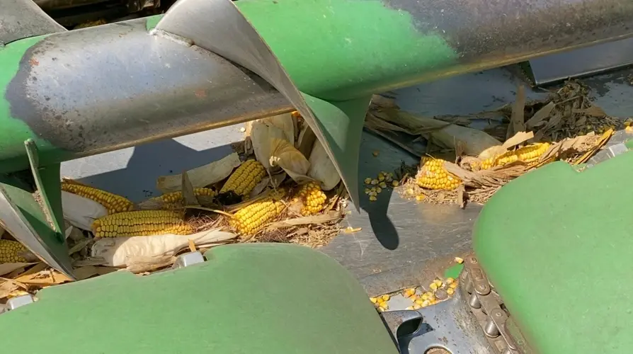 How to be a safe driver during harvest season