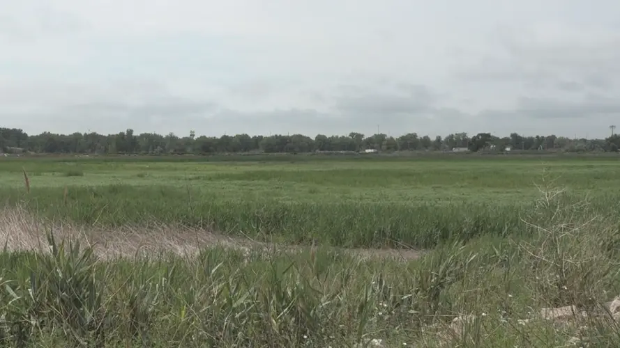 North Platte leaders approves consent for lenders for Sustainable Beef, LLC