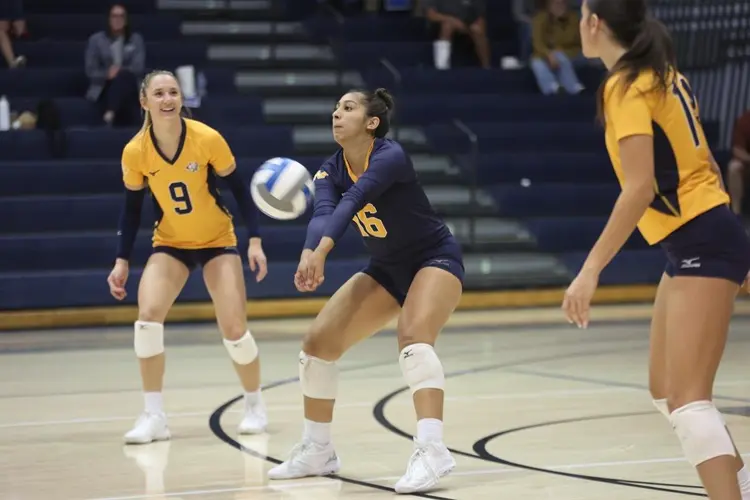 Cougar notes: WNCC volleyball team sweeps Lamar