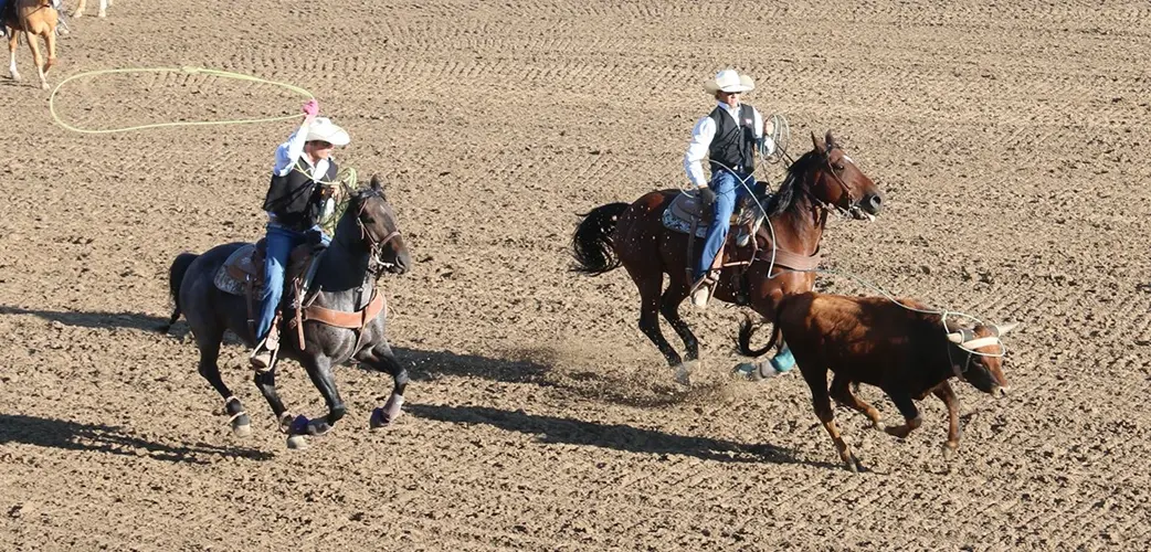 Chasek twins win team roping title