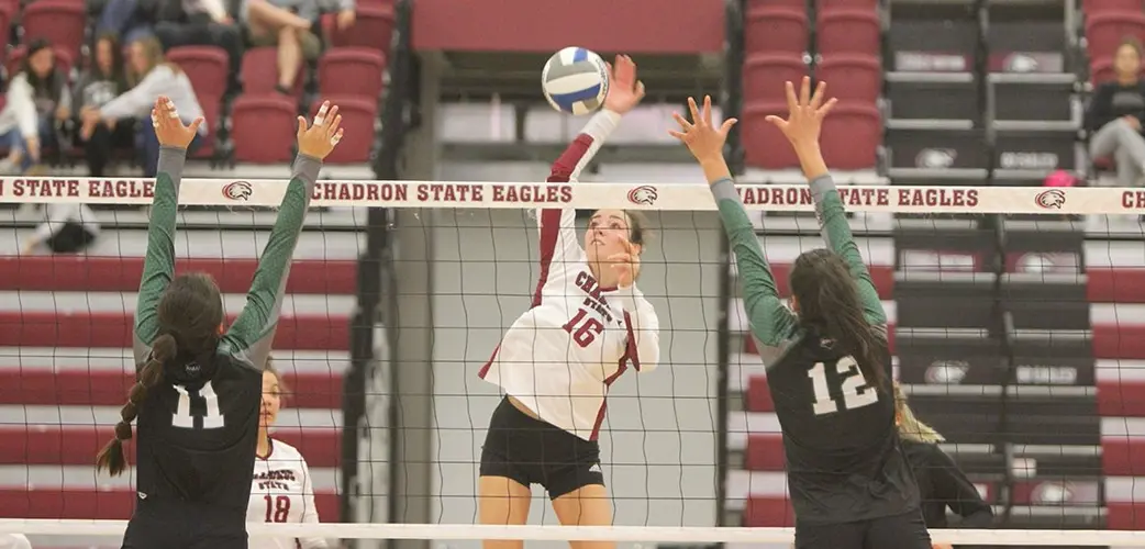 Mountain Lions top Eagles on Friday