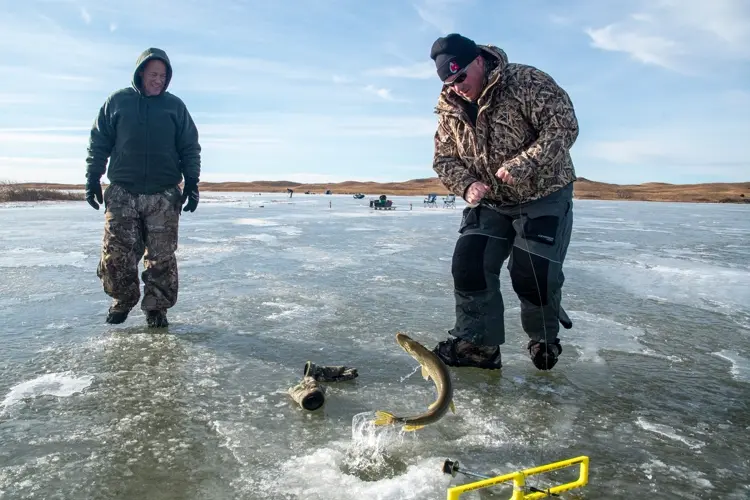 Seven ways to enjoy the outdoors this winter