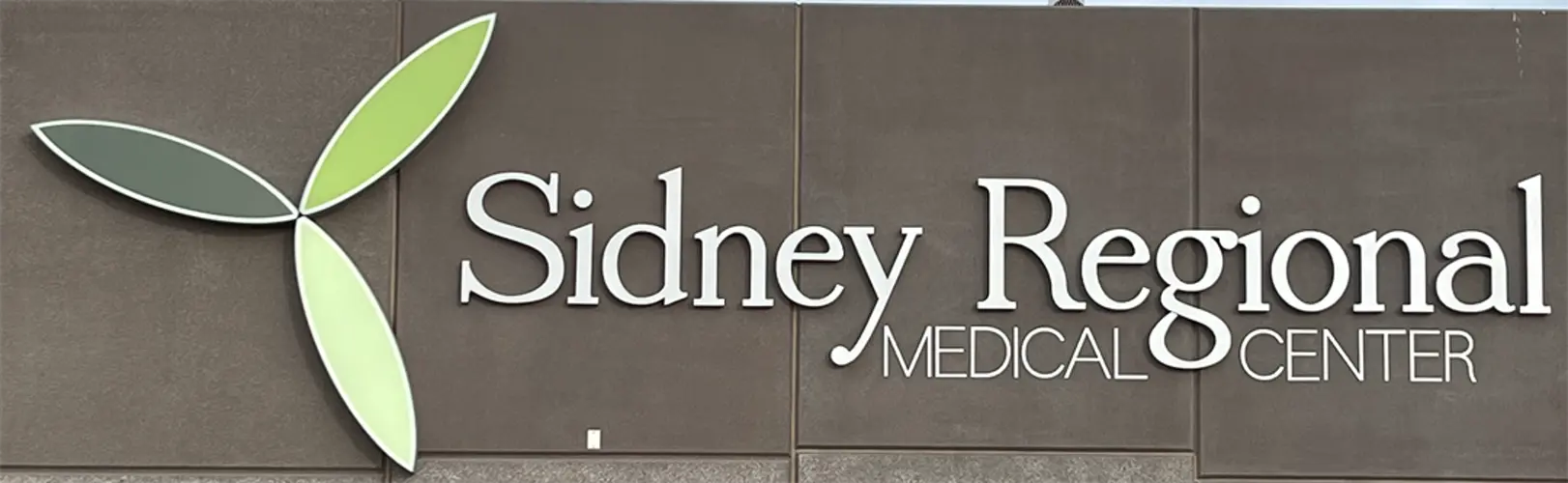 City Council presented hospital update