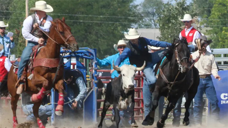 Eagles notes: Chadron State cowboy wins steer wrestling