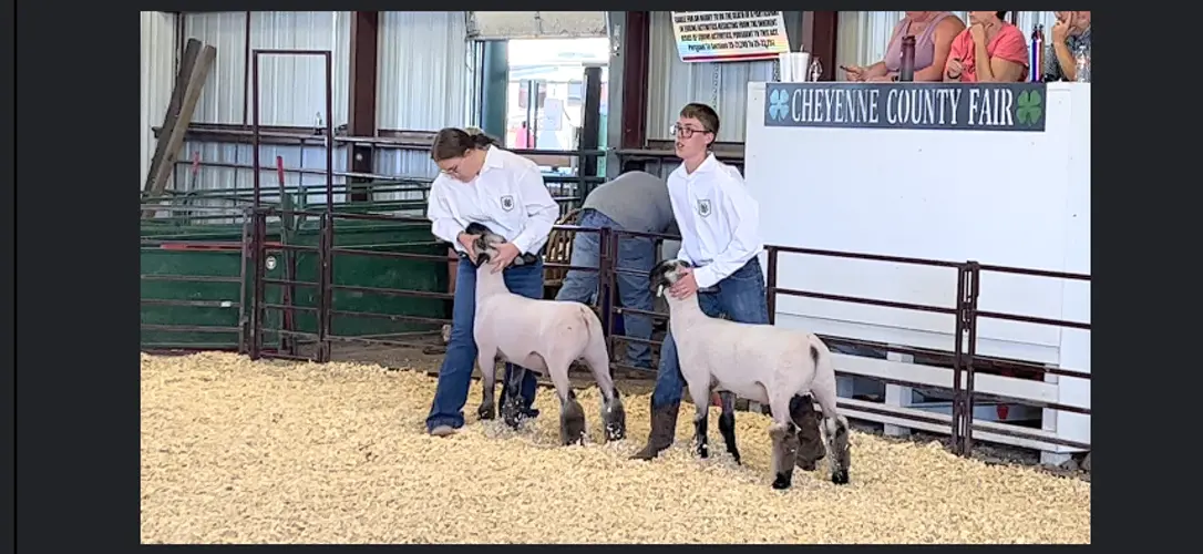 Cheyenne County Fair results: animals