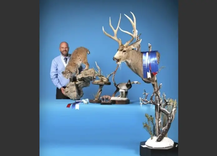 Cheyenne County man earns taxidermy awards