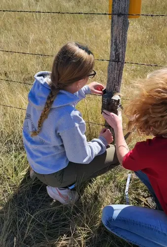 Chadron State students participate in swift fox study