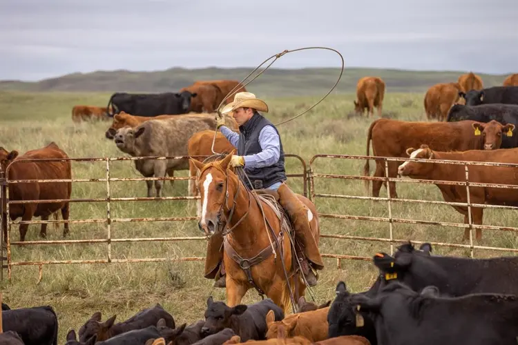 Who’s Buying Nebraska? After shopping spree, Mormon church is top land purchaser