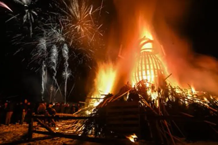 'Burn, beetle, burn': Hundreds of people torch an effigy of destructive bug in Custer