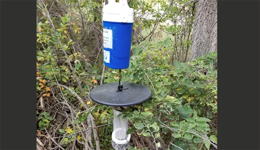 Mosquito surveillance helps combat West Nile Virus
