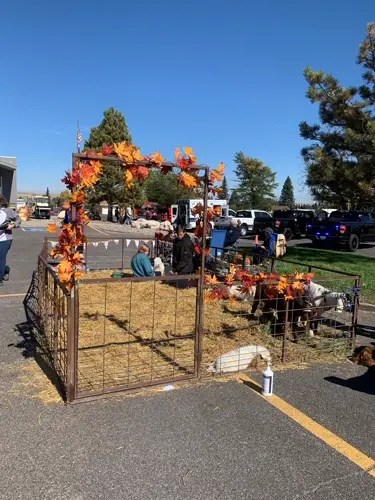 Pine Bluffs Fall Festival coming this weekend