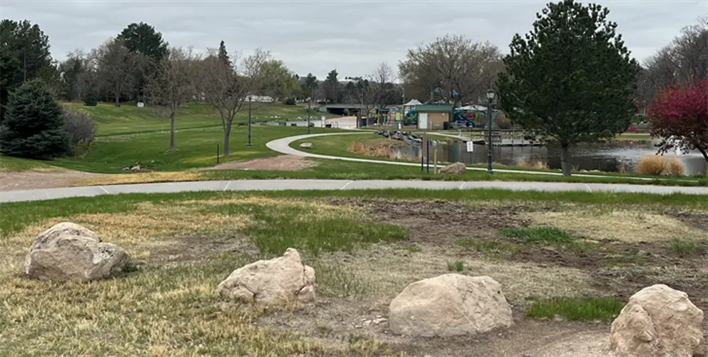 City of Sidney addresses aggressive geese at Legion Park