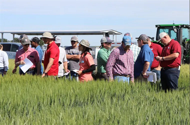 2025 Wheat Variety Tours set for June