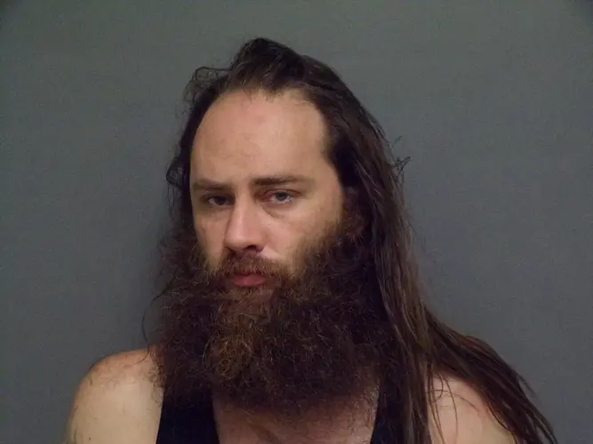 Driver arrested after biting officer during early morning pursuit in Sidney