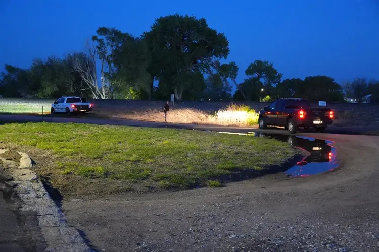 Foul play ruled out in the death of Sidney woman