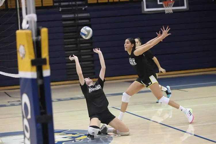 Cougar notes: WNCC volleyball team sports height, talent this season