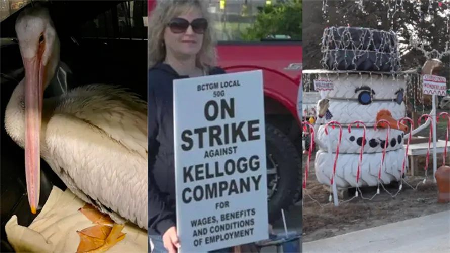 Pelicans, Kellogg strike ends, and more: All of the biggest stories from across Nebraska