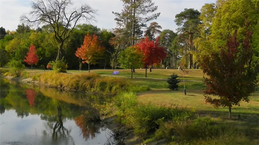 Columbus walking route moved because of safety concerns