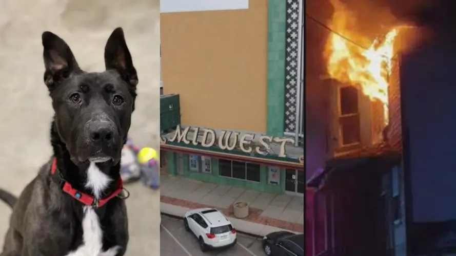 Medical Marijuana, COVID outbreaks, and more: All of the biggest news from across Nebraska