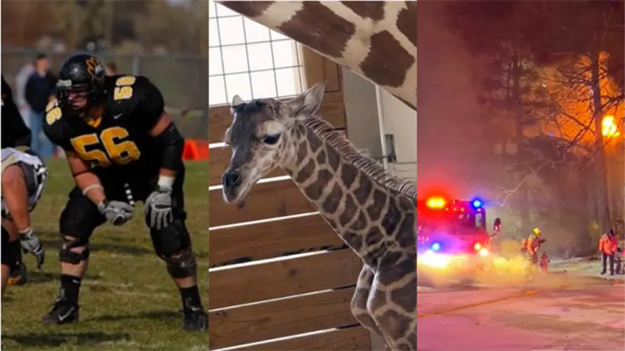 ‘Thank you’ convoys, baby giraffes, and more: All of the biggest stories from across Nebraska