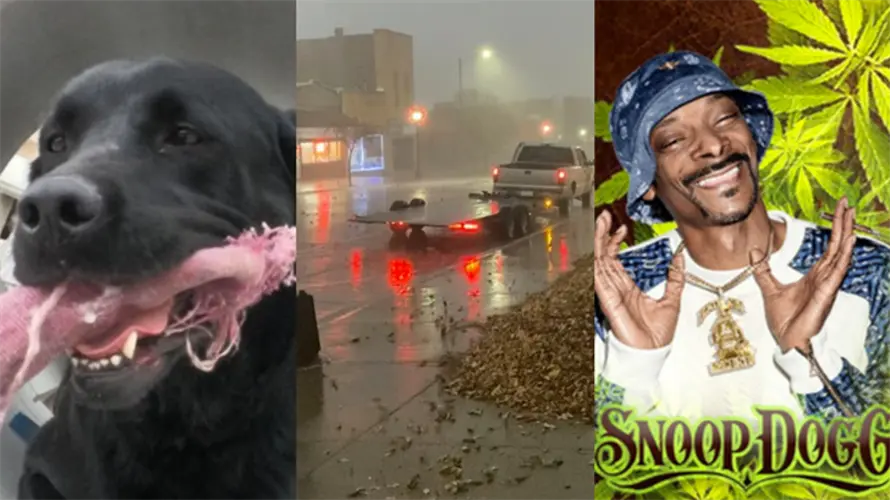 Snoop Dogg, Disaster Declaration for December, and more: All of the biggest stories from across Nebraska