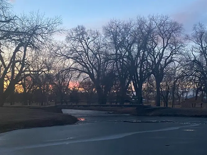 Four children rescued after falling into water