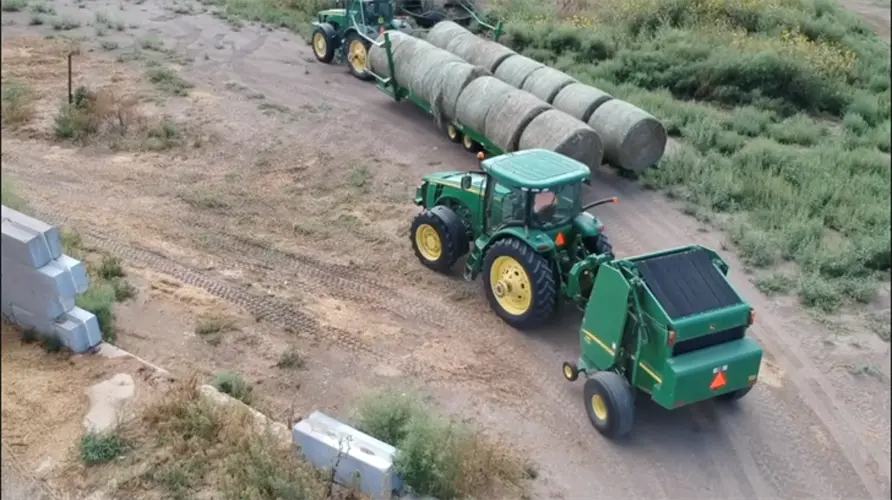 Sen. Fischer: Livestock is the biggest driver of NE