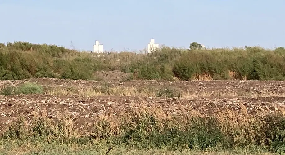 Compost piles containing dead chickens near David City wellfield to be removed