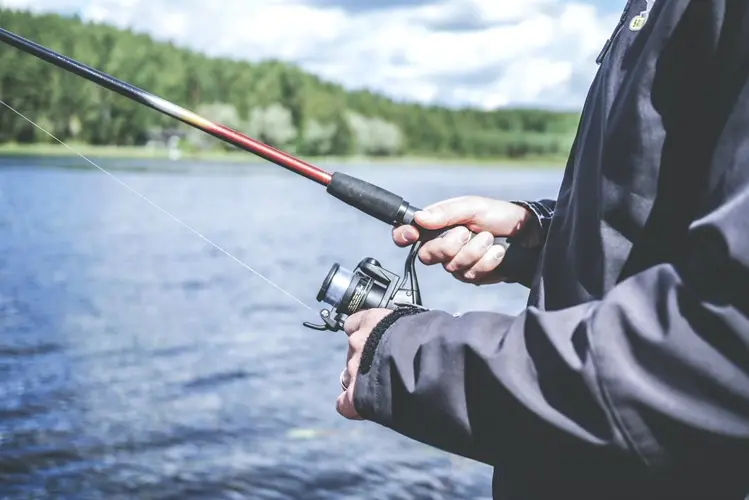 Village of Lindsay Pond will have fish salvage ahead of rehab project