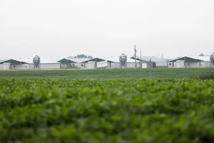 Pillen’s Water: High nitrate detected on hog farms owned by Nebraska’s governor