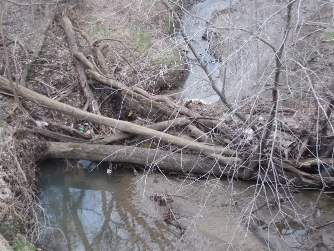 Dash Through Table Creek Yields Escape Charge