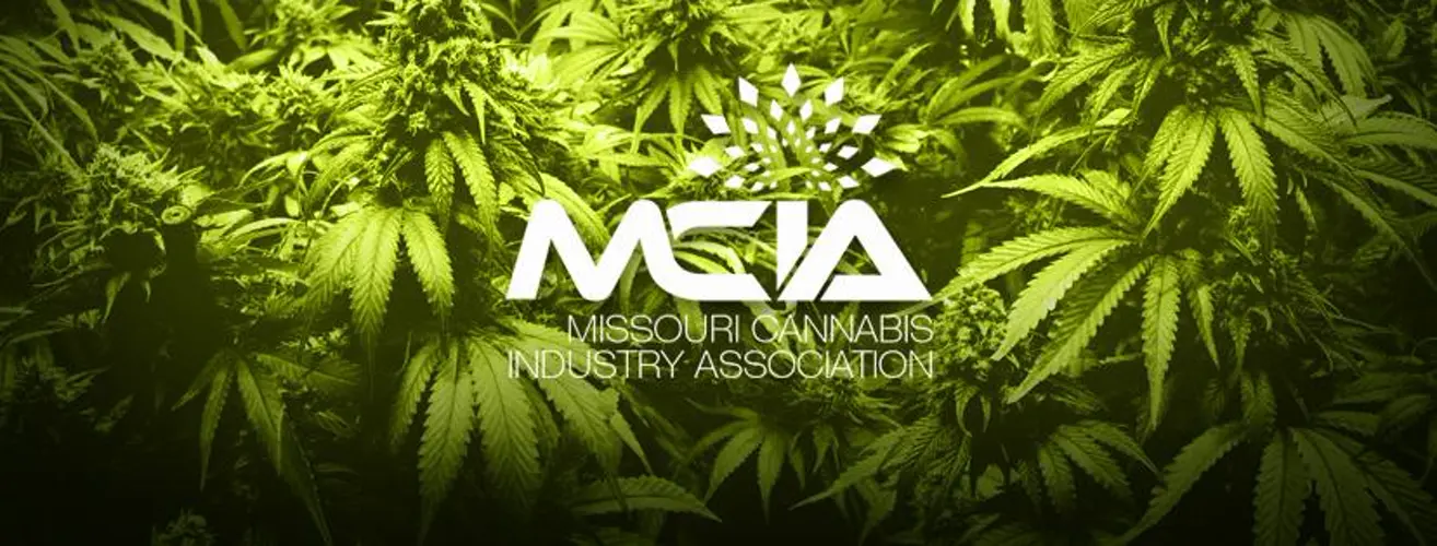 Recreational marijuana petition passes signature requirement