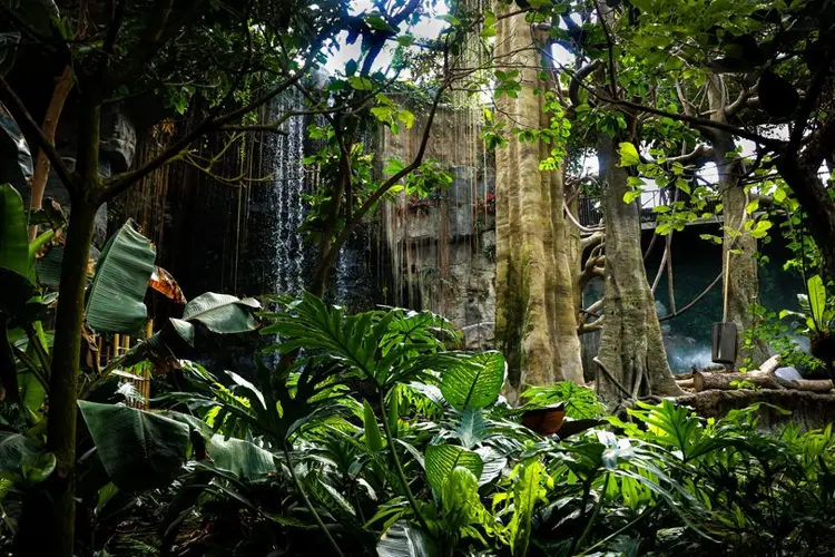 Henry Doorly Zoo’s Lied Jungle back open with limited hours