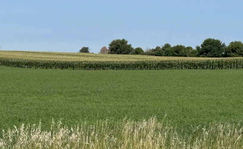 GoodLife Agriculture, museum funds, AppleJack requests on tonight's council meeting agenda