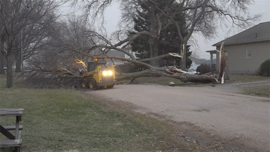 Severe storm causes downed trees in Plymouth