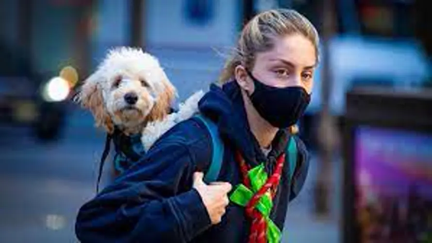 Lancaster County to enforce mask mandates