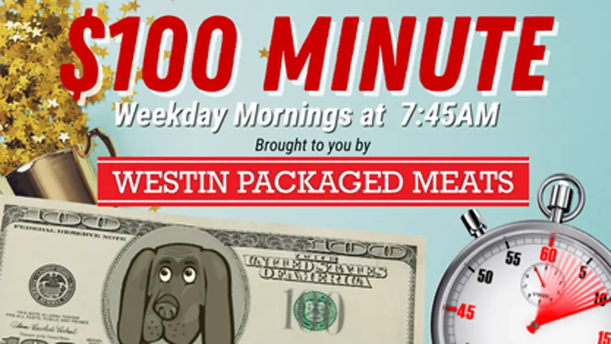 100 DOLLAR MINUTE