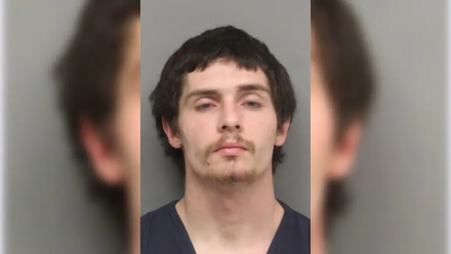 LPD: auto theft leads to multiple charges