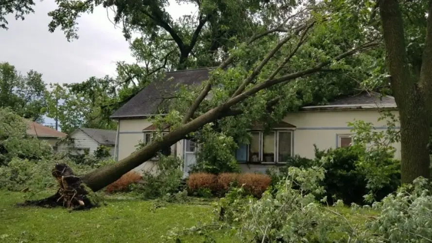 Assessing damage, power restoration and cleanup continuing in southern Gage County