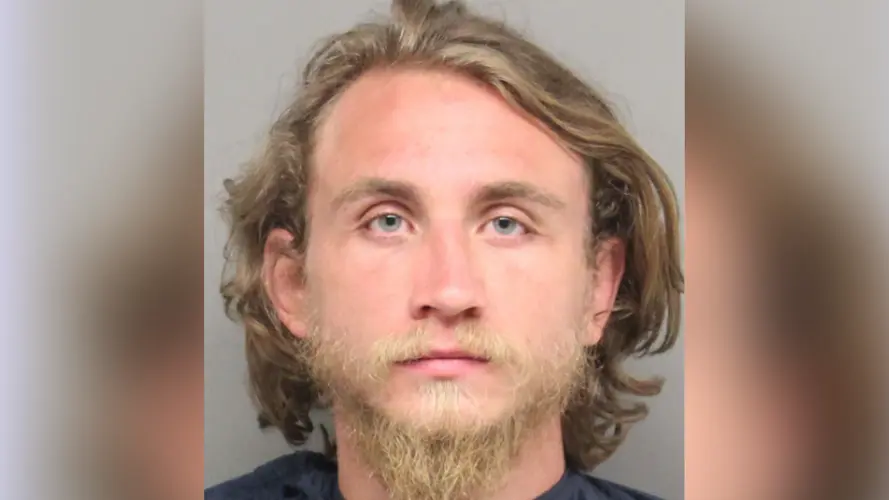 Traffic stop leads to drug bust in Lincoln